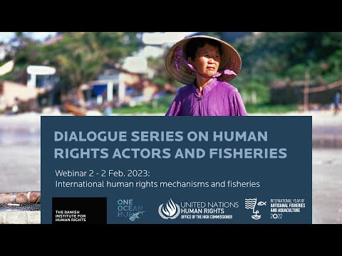 Webinar: International human rights mechanisms and fisheries