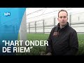 Bloemkwekers schenken 35.000 tulpen aan de zorg