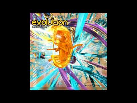 Mekkanikka VS  Karisma - Perfect harmony