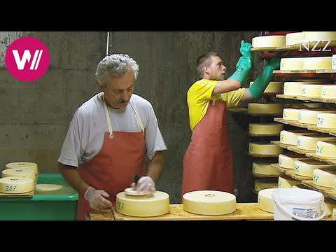 Cheesemaking - a visit at a Swiss dairyman