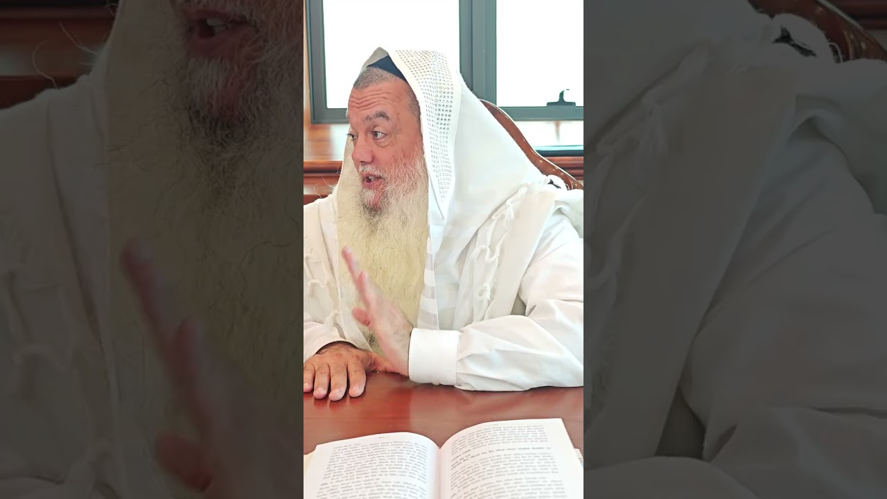 שער הביטחון | סבב שני - פרק 252