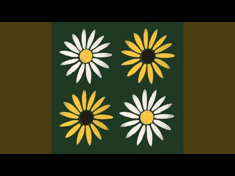 Two Tone Daisy