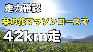 一足早くいぶすき菜の花マラソン走ってきた42km走