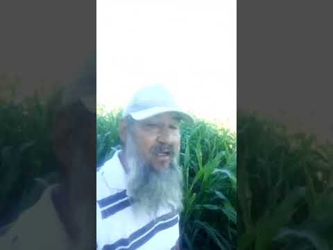 Luan do Povo: capacidade e maturidade para com a coisa pública