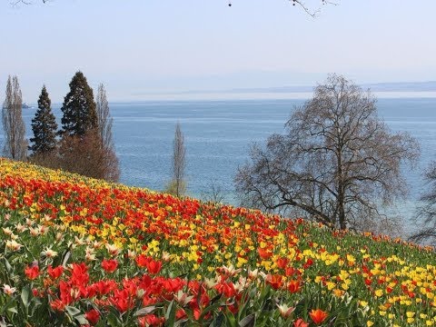 The Island of Flowers, Mainau, Lake Constance, Germany
