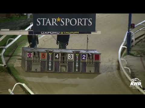 Signet Morgan - BGBF PUPPY CUP TRIAL STAKES