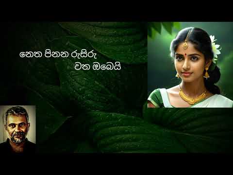 Netha Pinana Rusiru Watha Obeyi - නෙත පිනන රුසිරු වත ඔබෙයි/ Yapa P I/ Sabaragamuwa University