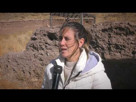 Liberaron un cóndor andino en Piedra del Molino, Cachi