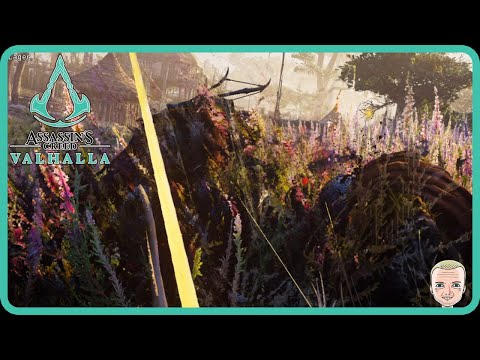 Schleichangriff Ohne Entdeckt Zu Werden ★ Assassins Creed Valhalla 042 ★ Danger Zockt