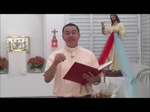 Lectura y Reflexión del Evangelio Viernes 17 de  Mayo de 2019  Pbro  Ronal Mauricio Pulido Martínez