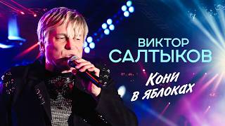Виктор Салтыков - Кони в яблоках (Концерт 