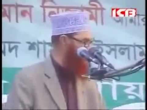 Heavy Weight Speech By Allama Deloar Hossain Saidi