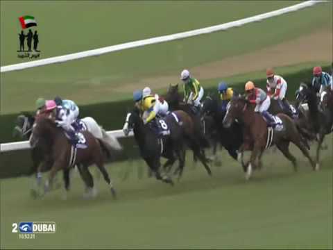 2016.11.20 Mile Championship (JPN) - Mikki Isle