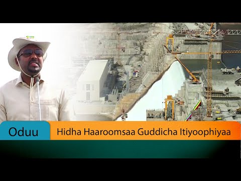 Hidha Haaroomsaa Guddicha Itiyoophiyaa