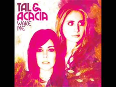 download lagu mp3 mp4 Acacia Clearview, download mp3 Acacia Clearview free download, download mp3 Acacia Clearview