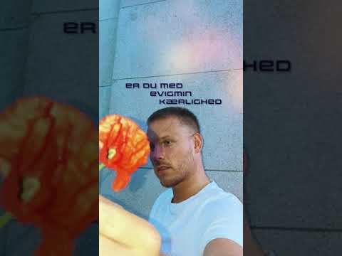 Jeppe Loftager - Evigmin