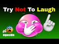 Try Not To Laugh Challenge IMPOSSIBLE Laugh And You Lose Part 14