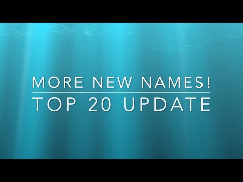 More New Names and a Top 20 Names Update!