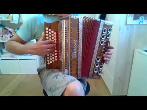 Ganz G´miatlich G´spielt - Steirische Harmonika #eigenkomposition #volksmusik #steirische #quetschn