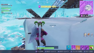 ～Fortnite フォートナイト～　参加型ですよ　ハスキーの気ままに配信