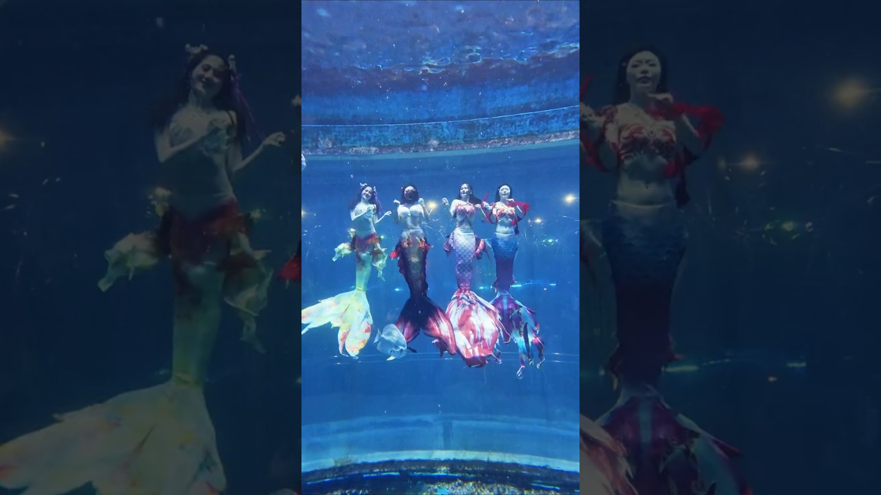 It doesn't matter if I didn't see the Chinese New Year, there is still Valentine's Day OR 黃小璐美人鱼