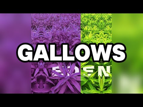 STIM - gallows (Official Lyric Video)