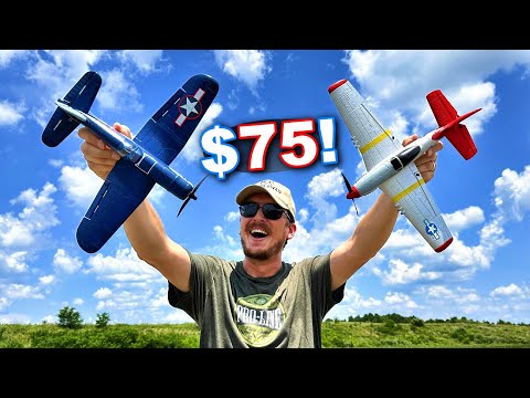 World’s CHEAPEST BEST RC Plane 2023!