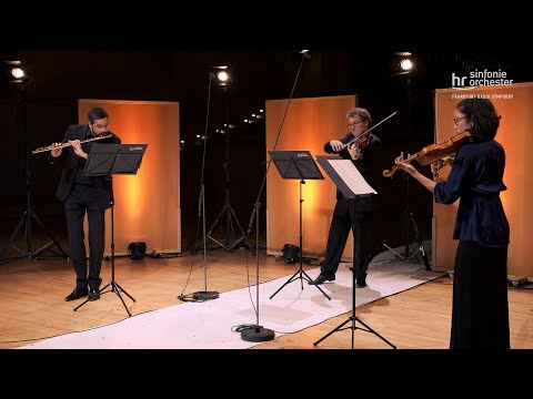 Beethoven: Serenade D-Dur op. 25 ∙ Wittiber ∙ Mercer-Niewöhner ∙ Niewöhner