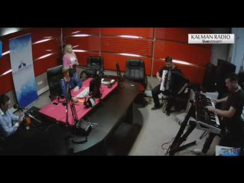 Zehra Bajraktarevic - Potrazi me - LIVE - (Kalman Radio 2017)