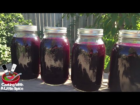 download lagu mp3 mp4 Easy Grape Juice Canning Recipe, download lagu Easy Grape Juice Canning Recipe gratis, unduh video klip Easy Grape Juice Canning Recipe