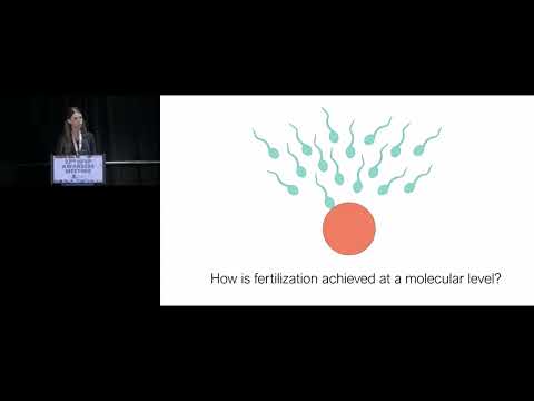 A CONSERVED FERTILIZATION COMPLEX BRIDGES SPERM AND EGG IN VERTEBRATES