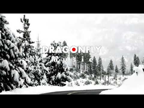 Prefekt - Numb Ft. Johnning | 1 Hour Version