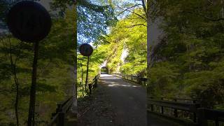 【帝釈峡・神龍湖旧道】広島県道25号線神龍湖バイパス旧道（広島県道259号線）