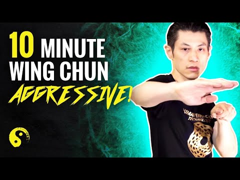 Bruce Lee Wing Chun Kung Fu Demonstration Training Workout