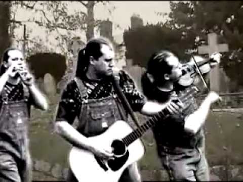 Hayseed Dixie Walk This Way