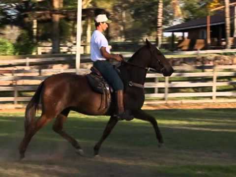 Sapoti da Morada Nova VTS_37_1.VOB