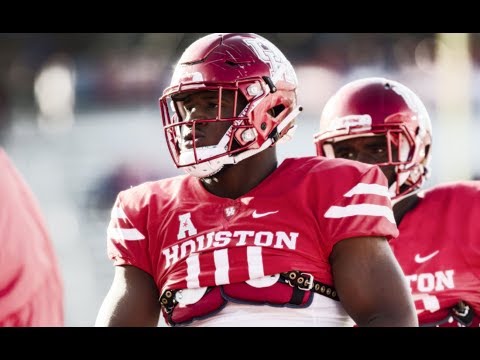 Absolute Dominance - Ed Oliver 2017 Highlights ᴴᴰ