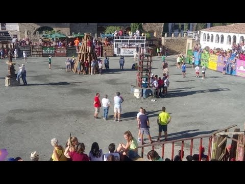 Festejos taurinos - Directo Alko tv