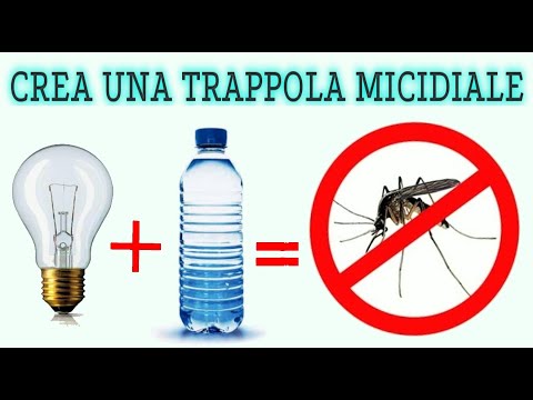 , title : 'crea la miglior trappola per zanzare, micidiale per tutti gli insetti con le ali, stop zanzare'