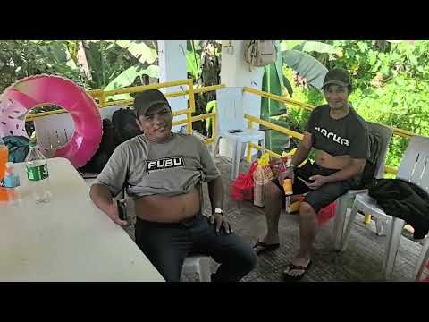 PDMT ChrIstmas 2025 Highlights