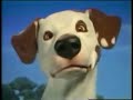 Nickelodeon Movies Logo Dog 1999