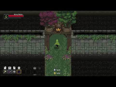 Wizard of Legend - Only 99 Damage Bird Run