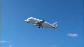 preview picture of video 'Airbus Beluga, departing Airport Finkenwerder Hamburg'
