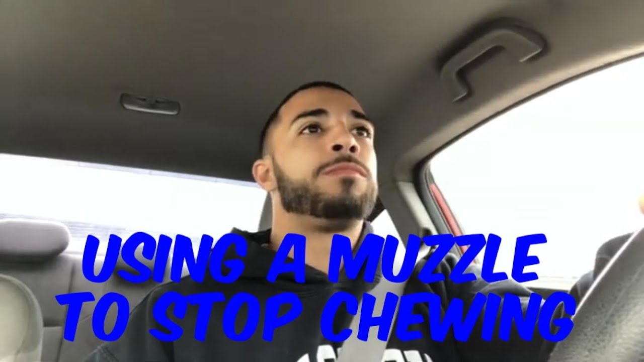 Using Muzzle to Stop Chewing