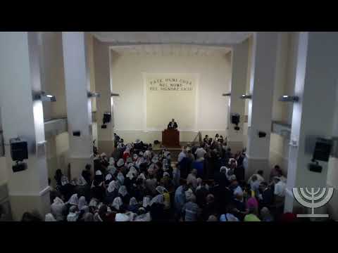 2019-08-04 Domenica Mattina - Fr Gemelli - Fr. Mondello - Proverbi Cap. 27 Vers. 2