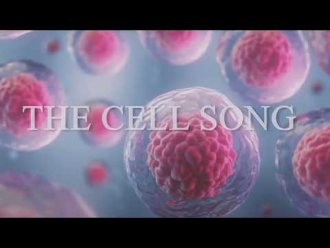 The Cell Song