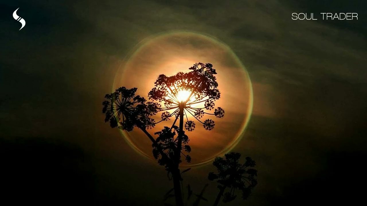 Meanderman - Mother's Sun