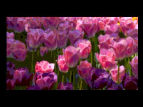 slowed & reverb | Hadeeqa Kiyani - Maan Di Mauj Wich