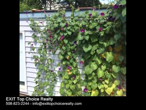 44 Edwards, Brockton MA 02302 - Single Family Home - Real Estate - For Sale -