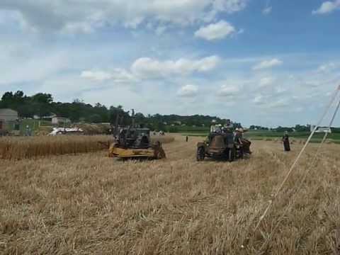 Amish Old Fashion Wheat Harvest 9